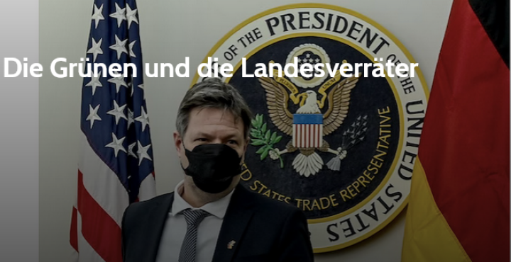 Screenshot_2023_08_28_at_22_10_32_Die_Gr_nen_und_die_Landesverr_ter