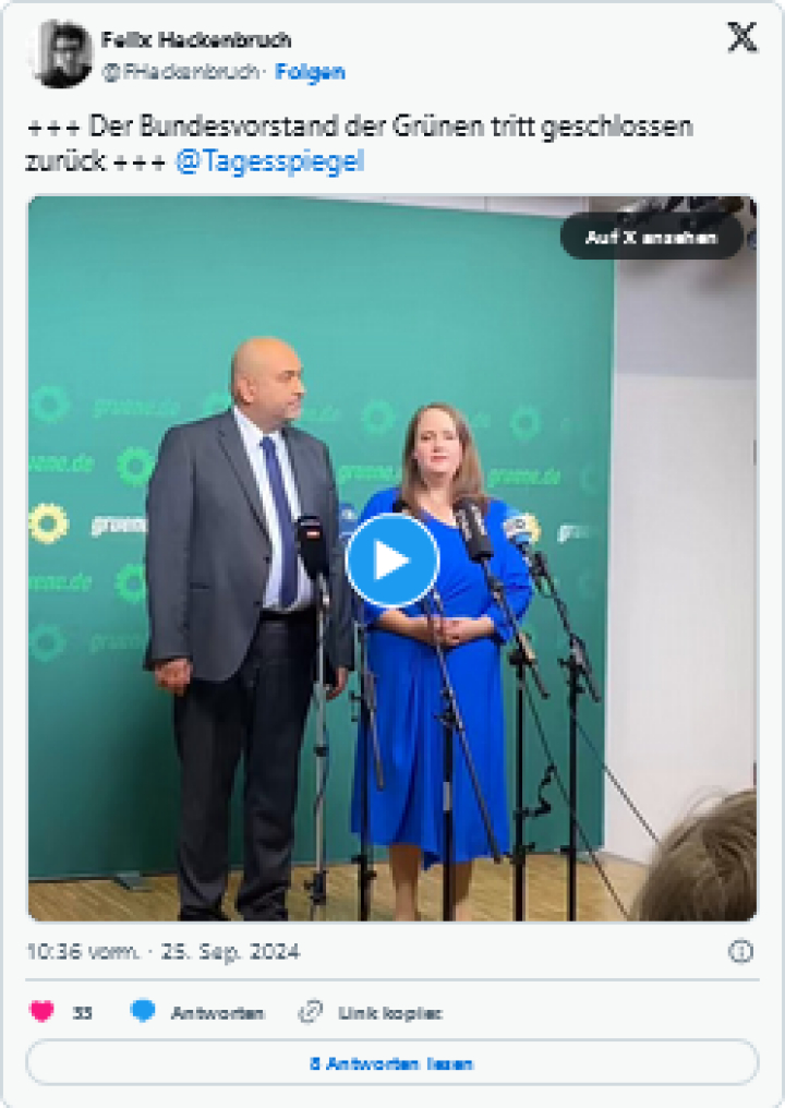Screenshot_2024_09_25_at_12_25_54_Lang_und_Nouripour_geben_auf_Parteispitze_der_Gr_nen_tritt_zur_ck_RT_DE