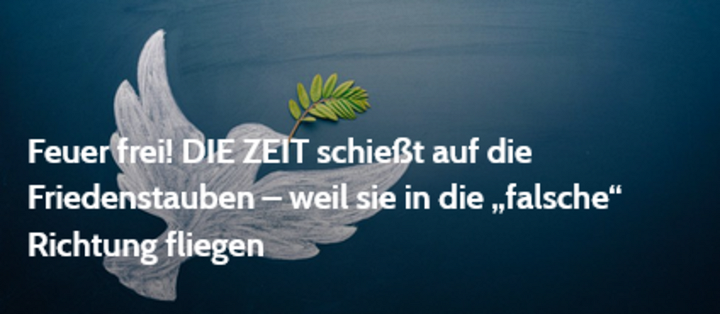 Screenshot_2025_04_22_at_21_56_09_Feuer_frei_DIE_ZEIT_schie_t_auf_die_Friedenstauben_weil_sie_in_die_falsche_Richtung_fliegen