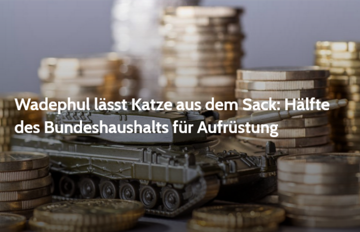 Screenshot_2025_05_16_at_22_55_32_Wadephul_l_sst_Katze_aus_dem_Sack_H_lfte_des_Bundeshaushalts_f_r_Aufr_stung