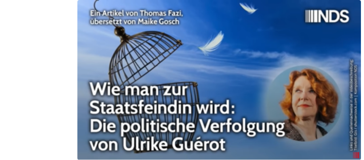 Screenshot_2025_05_18_at_19_29_37_Wie_man_zur_Staatsfeindin_wird_Die_politische_Verfolgung_von_Ulrike_Gu_rot_Thomas_Fazi_NDS_YouTube