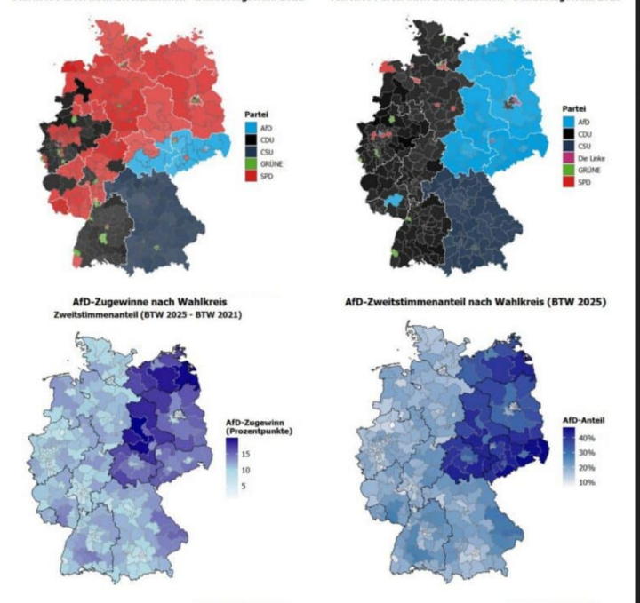 Screenshot_2025_06_03_at_08_38_45_AfD_Stimmanteile_768x734.jpg_JPEG_Grafik_768_734_Pixel_Skaliert_80_