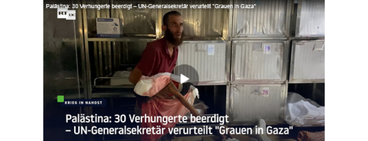Screenshot_2025_07_24_at_12_21_12_Israel_Gaza_Es_brodelt_im_Ausw_rtigen_Amt_RT_DE