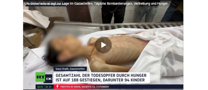 Screenshot_2025_08_09_at_15_38_58_Keine_Waffen_mehr_nach_Israel_Die_Bundesregierung_und_der_sch_ne_Schein_RT_DE