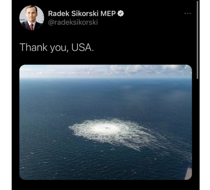 Screenshot_2025_08_25_at_22_49_51_Die_Widerspr_che_bei_der_Verhaftung_des_Ukrainers_der_angeblich_die_Nord_Streams_gesprengt_haben_soll_Anti_Spiegel