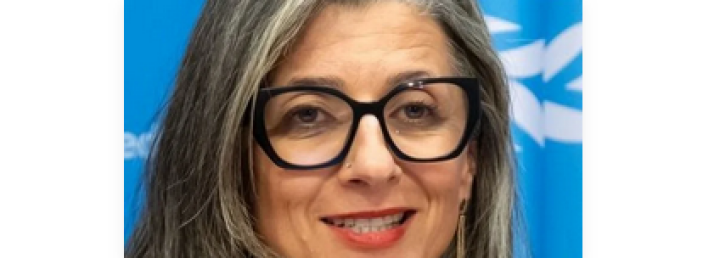 Screenshot_2025_11_17_at_23_03_12_Seniora.org_Francesca_Albanese_h_lt_w_sten_Attacken_stand