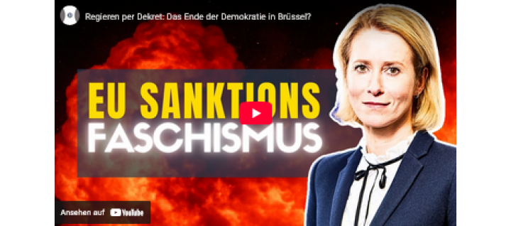 Screenshot_2026_01_01_at_17_36_40_Br_ssel_Ein_ziviler_administrativer_und_sozialer_Tod_droht_durch_Entscheidungen_der_Europ_ischen_Kommission