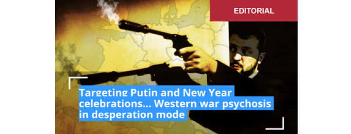 Screenshot_2026_01_03_at_00_19_32_Seniora.org_Die_91_Drohnen_der_Dummheit_Sinnlos_und_ohne_W_rde