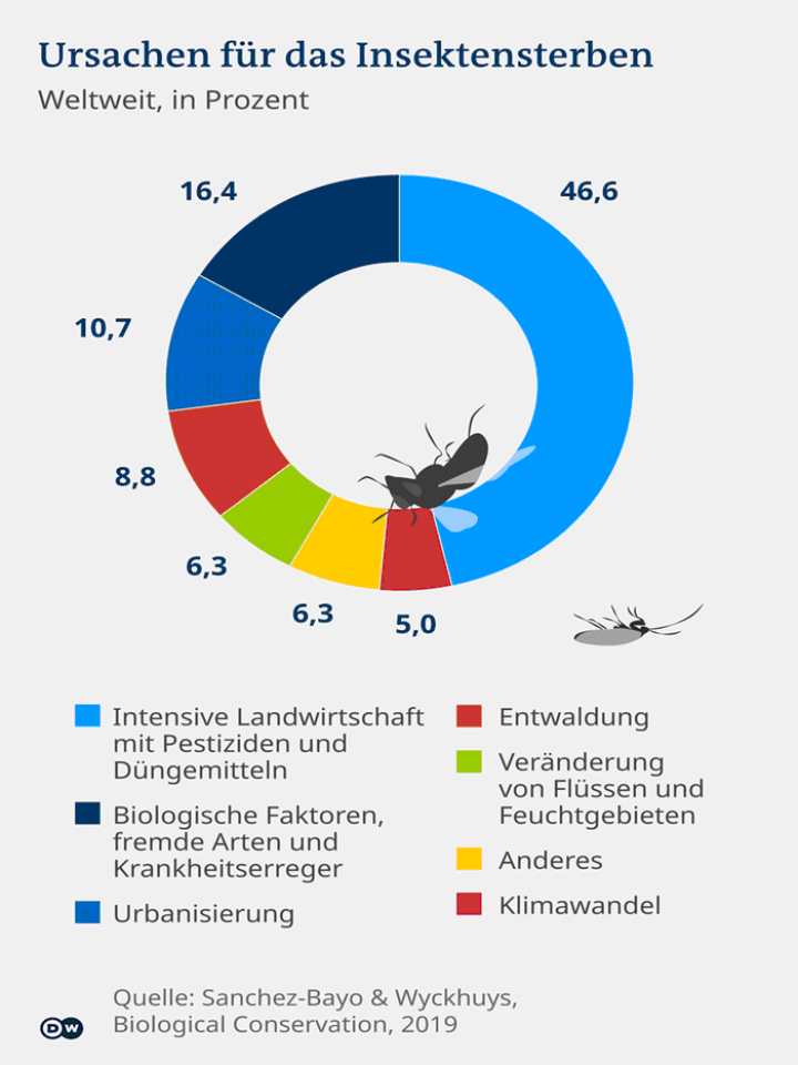 Ursachen_f_r_das_Insektensterben_2019